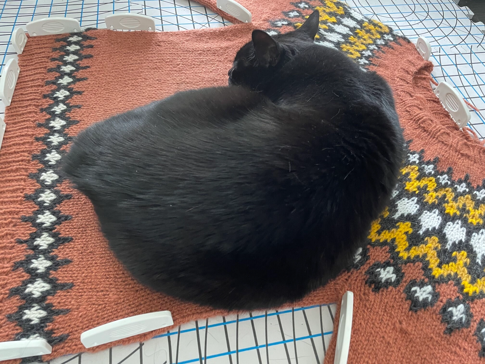 Figure 2: My cat always enjoy the blocking sweater as their temporary bed :P